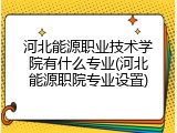 河北能源职业技术学院有什么专业(河北能源职院专业设置)