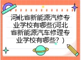 河北省新能源汽修专业学校有哪些(河北省新能源汽车修理专业学校有哪些？)
