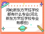 河北新东方烹饪学校都有什么专业(河北新东方烹饪学校专业有哪些)