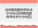 沧州国龙厨师学校丰宁分校(沧州国龙厨师学校丰宁分校区)