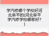 学汽修哪个学校好河北阜平的(河北阜平学汽修学校哪家好？)