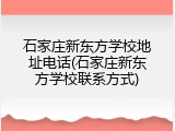 石家庄新东方学校地址电话(石家庄新东方学校联系方式)