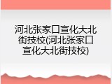 河北张家口宣化大北街技校(河北张家口宣化大北街技校)