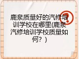 鹿泉质量好的汽修培训学校在哪里(鹿泉汽修培训学校质量如何？)