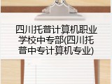四川托普计算机职业学校中专部(四川托普中专计算机专业)