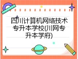 四川计算机网络技术专升本学校(川网专升本学府)
