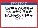 成都中专公办幼师学校盐亭分校(盐亭分校幼师学校成都中专公办)
