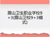 眉山卫生职业学校9+3(眉山卫校9+3模式)