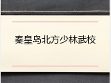 秦皇岛北方少林武校