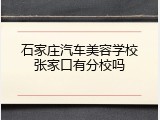 石家庄汽车美容学校张家口有分校吗
