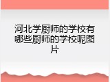 河北学厨师的学校有哪些厨师的学校呢图片