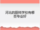 河北的厨师学校有哪些专业好