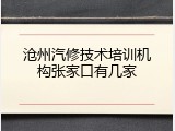沧州汽修技术培训机构张家口有几家