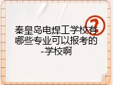 秦皇岛电焊工学校有哪些专业可以报考的-学校啊