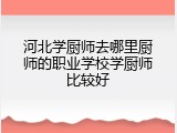 河北学厨师去哪里厨师的职业学校学厨师比较好