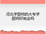 河北学厨师的大专学厨师好就业吗
