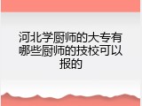 河北学厨师的大专有哪些厨师的技校可以报的