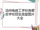 沧州电焊工学校有哪些学校招生简章图片大全