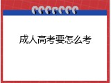 成人高考要怎么考