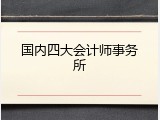 国内四大会计师事务所