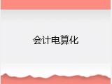 会计电算化