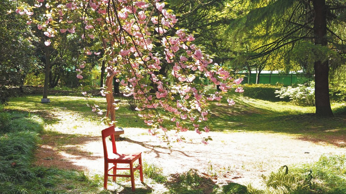 西安电子科技大学