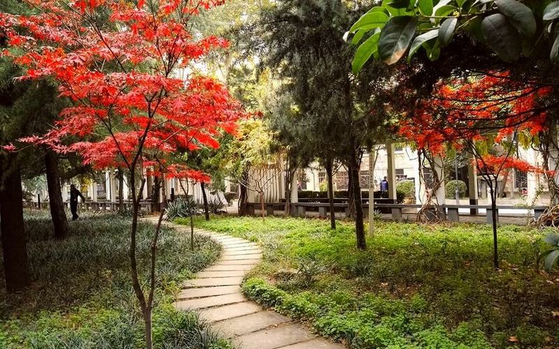 西安外国语大学