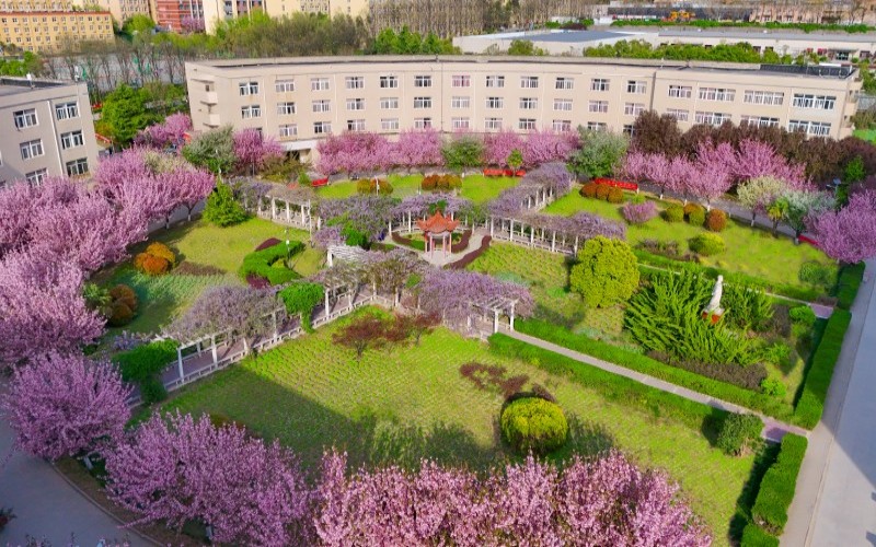 西安财经大学行知学院