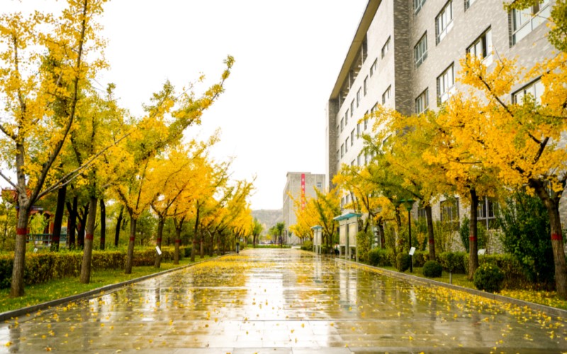 神木职业技术学院