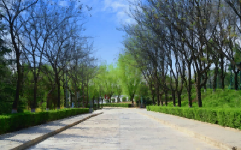 西安财经大学行知学院