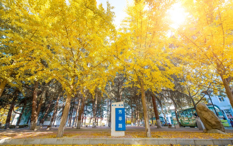 西安明德理工学院