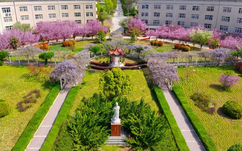 西安财经大学行知学院