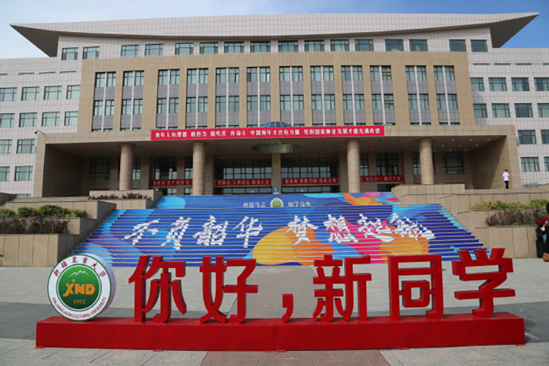 新疆农业大学科学技术学院