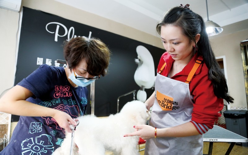 新疆农业职业技术大学