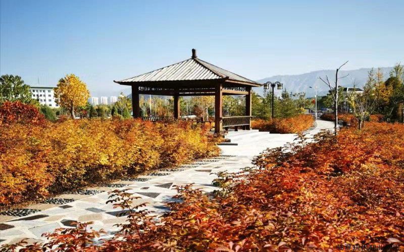 临夏现代职业学院