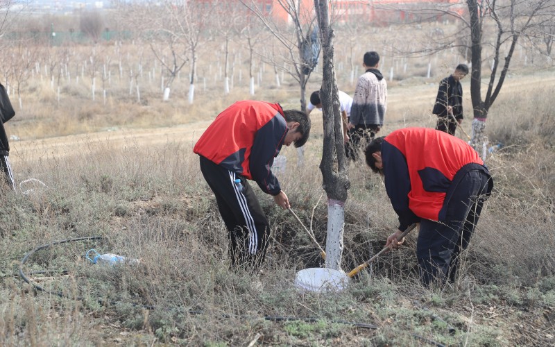 新疆现代职业技术学院