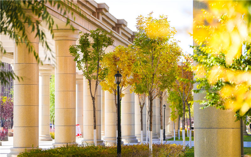 兰州信息科技学院