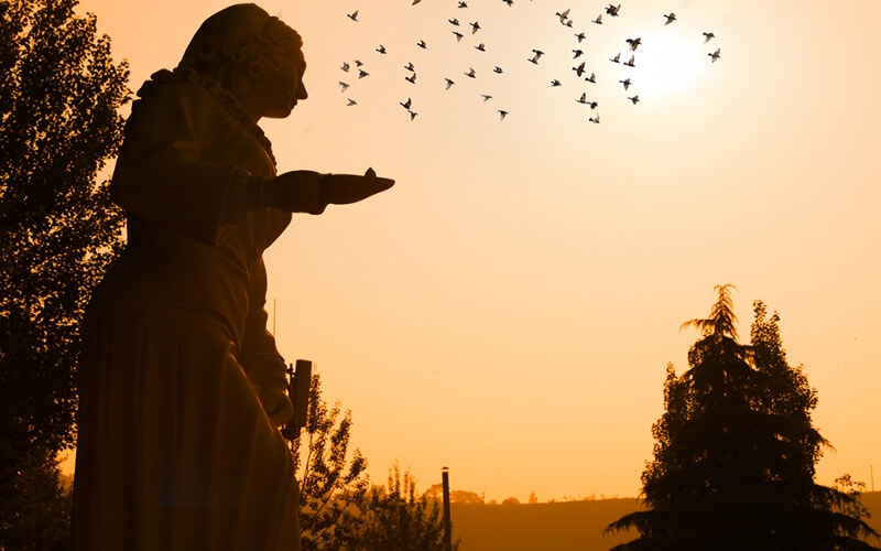 宝鸡三和职业学院