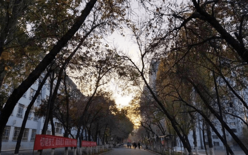 新疆铁道职业技术学院