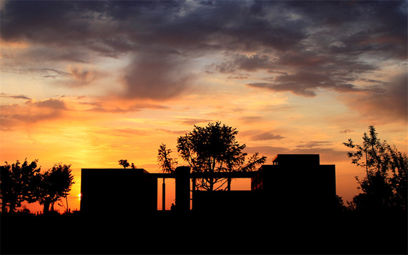 博尔塔拉职业技术学院