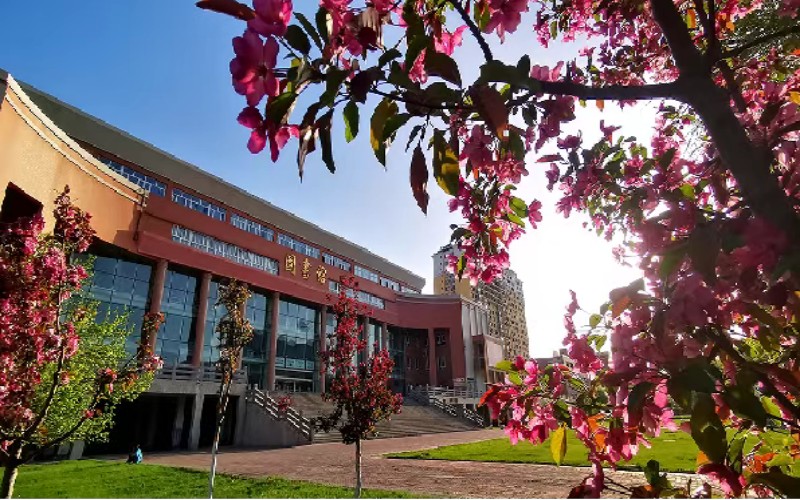 新疆农业职业技术大学