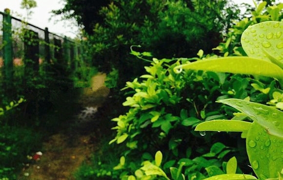 福建船政交通职业学院