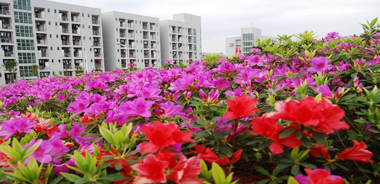 福州软件职业技术学院