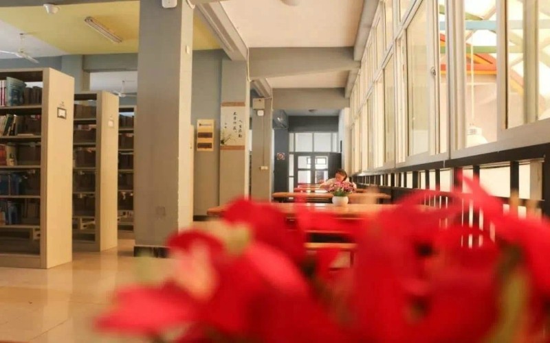 江西软件职业技术大学