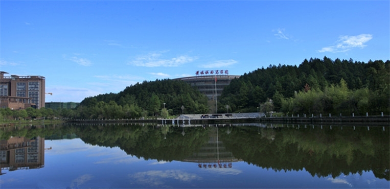 景德镇陶瓷大学