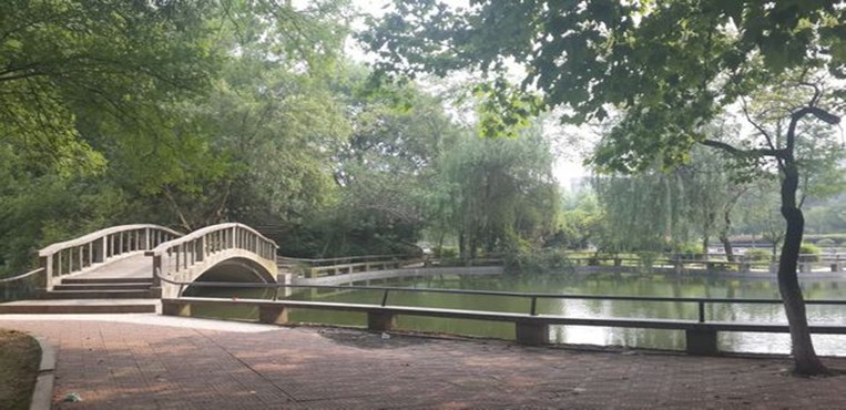 南昌大学科学技术学院