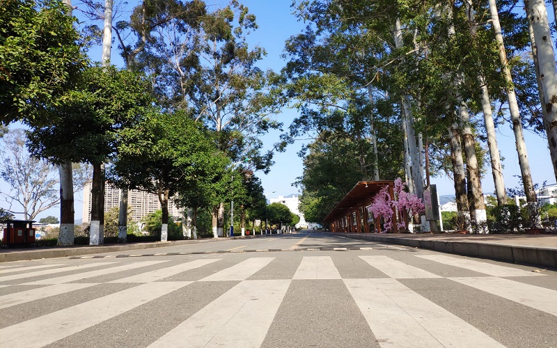 闽西职业技术学院