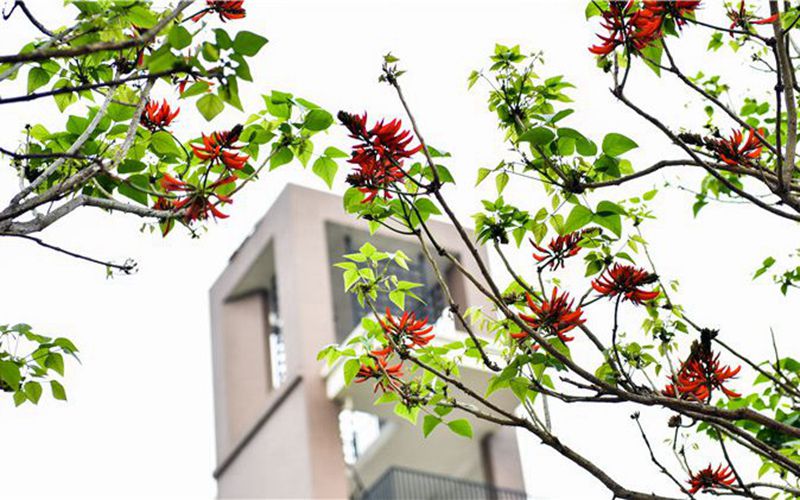 福建师范大学协和学院