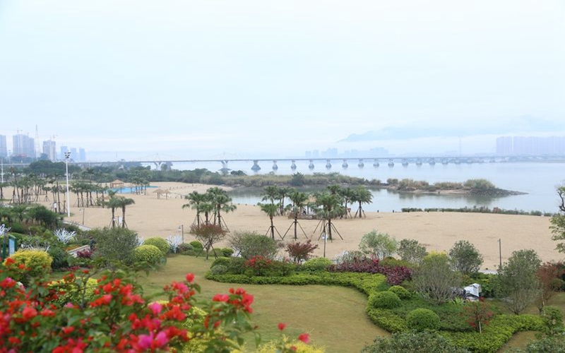 福建农林大学金山学院