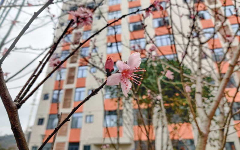 宜春幼儿师范高等专科学校